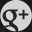 Google+